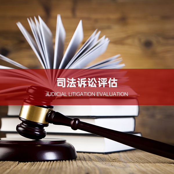司法诉讼评估 